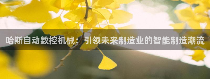 天辰娱乐39974神