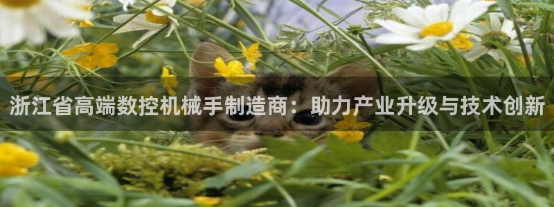 天辰娱乐代理