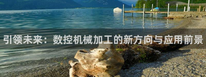 天辰娱乐股东