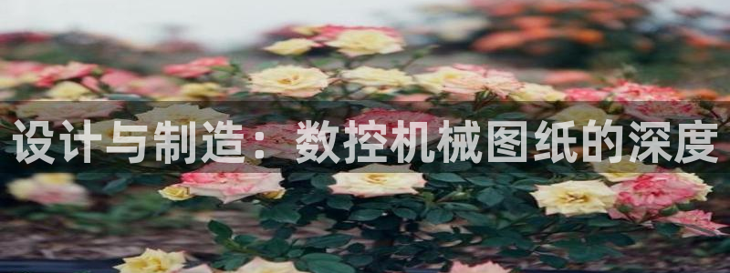 天辰娱乐简介