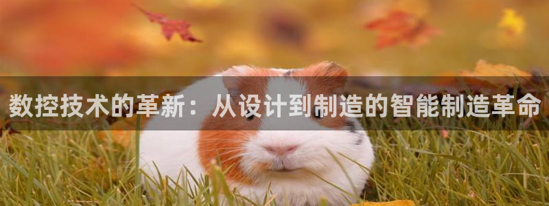 天辰娱乐登录网址