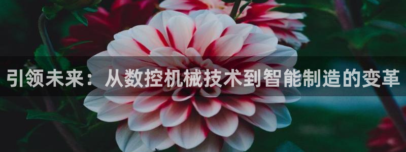 天辰臣娱乐