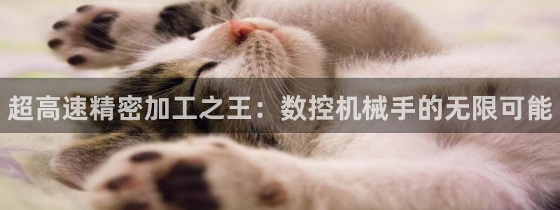 天辰娱乐登录测试
