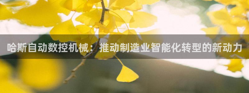 天辰娱乐957807