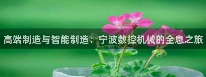 辰天娱乐用品