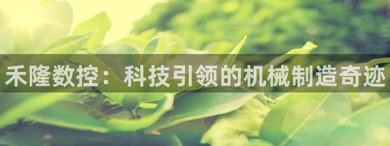 天辰彩票娱乐