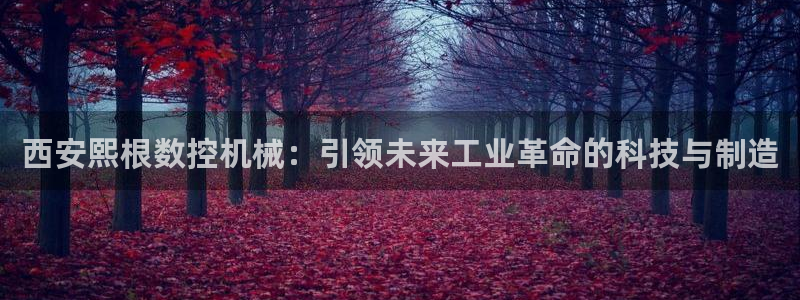 天辰娱乐代理