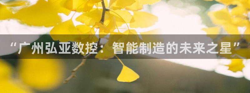 天辰娱乐文案
