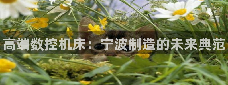 天辰娱乐登录网址