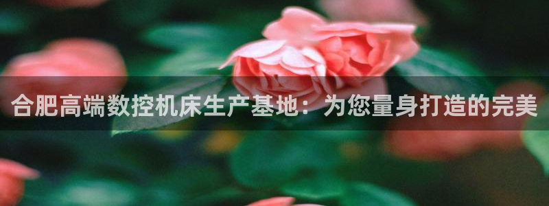 南充天辰娱乐