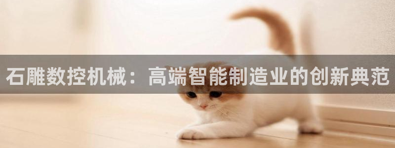 天辰娱乐游客