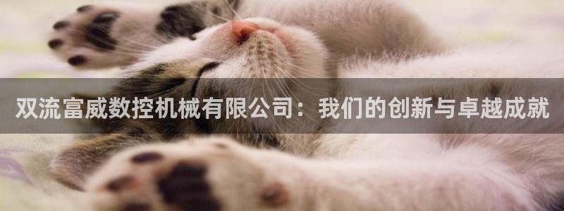 天辰娱乐代理