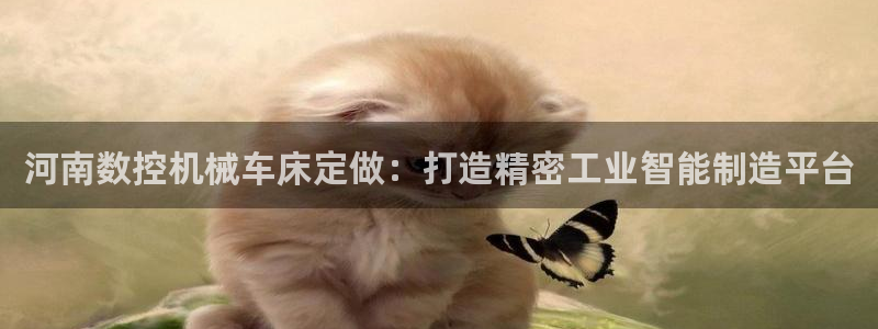 天辰娱乐代理