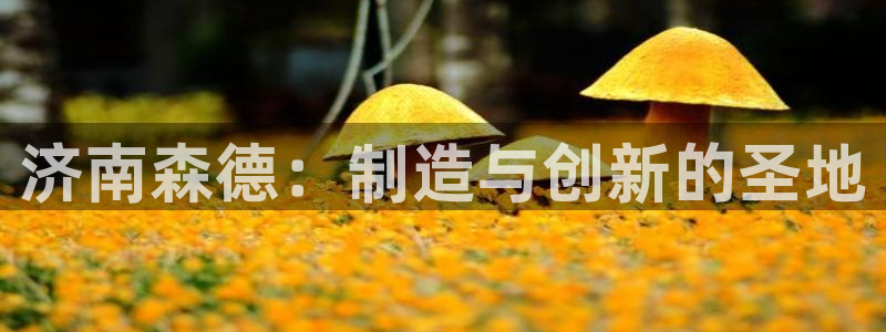 天辰娱乐网