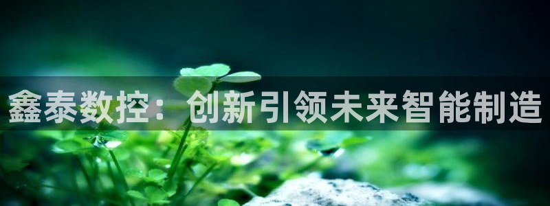 天辰娱乐 849852