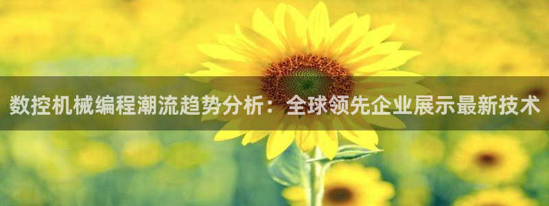 天辰娱乐-18113
