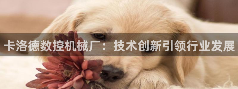 徐州天辰娱乐
