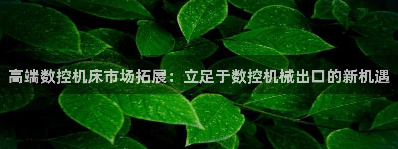 天辰(娱乐注册
