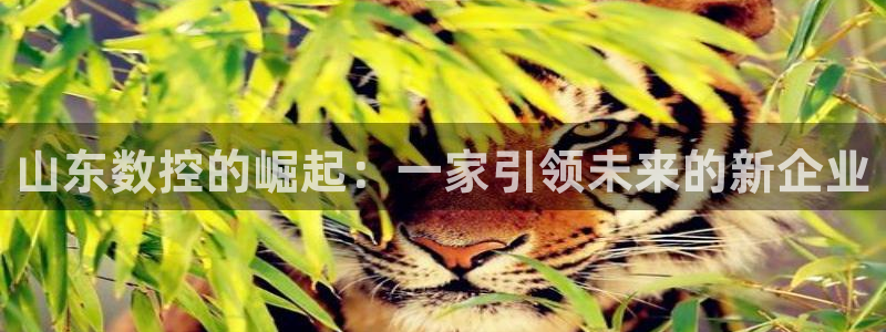天辰娱乐登录
