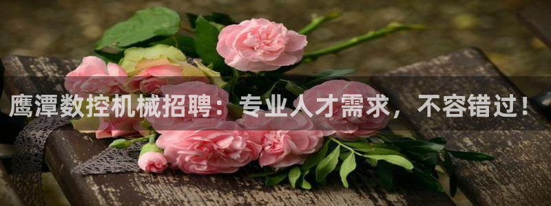 天辰娱乐酒店