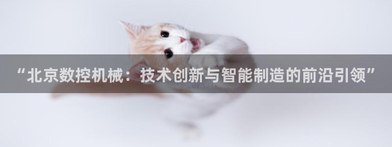 天辰娱乐老板