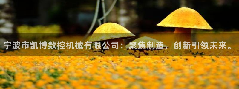 天辰辰娱乐代理