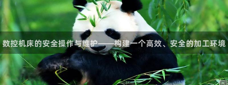 天辰娱乐557696
