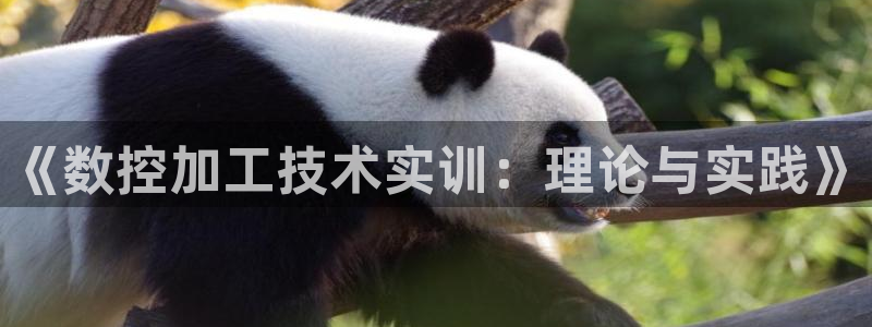 天辰娱乐总管年薪