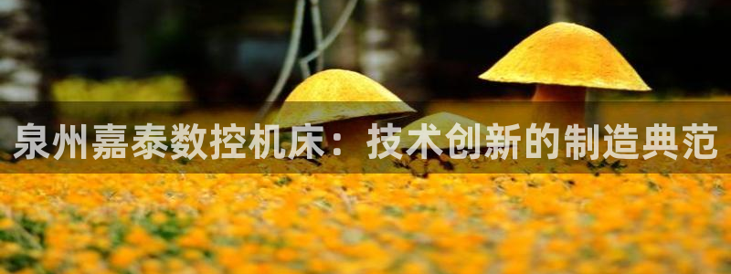 天辰娱乐招商