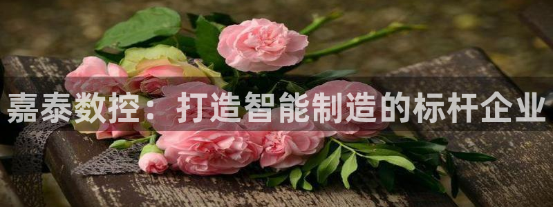 天辰娱乐481928：嘉泰数控：打造智能制造的标杆企业