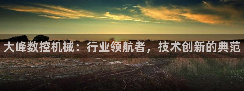 天辰娱乐 849852：大峰数控机械：行业领航者，技术创新的典范