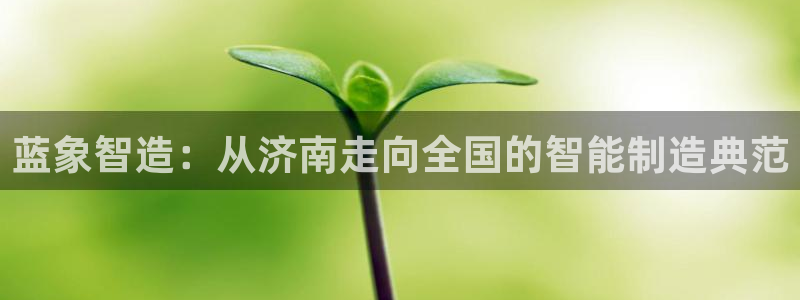 天辰娱乐官方登录下载