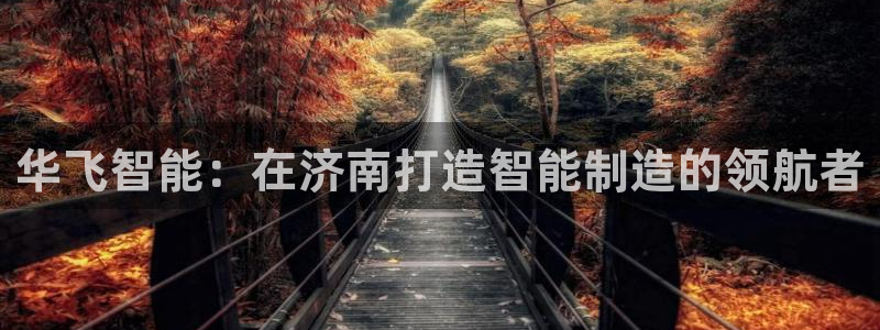 天辰娱乐元宝：华飞智能：在济南打造智能制造的领航者