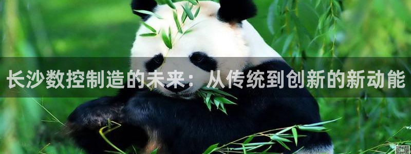 天辰娱乐网址娱乐游戏