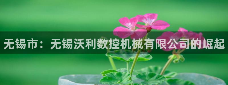 手机上怎么下载天辰娱乐