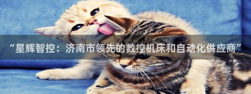 天辰天辰娱乐：“星辉智控：济南市领先的数控机床和自动化供应商”